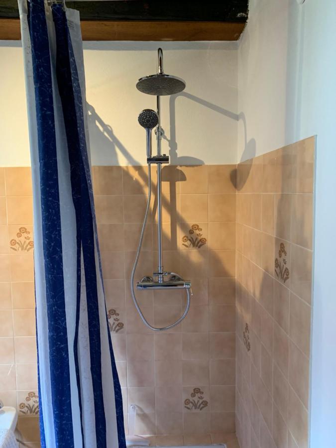 Spacious In A Charming, Tranquil Village Apartment